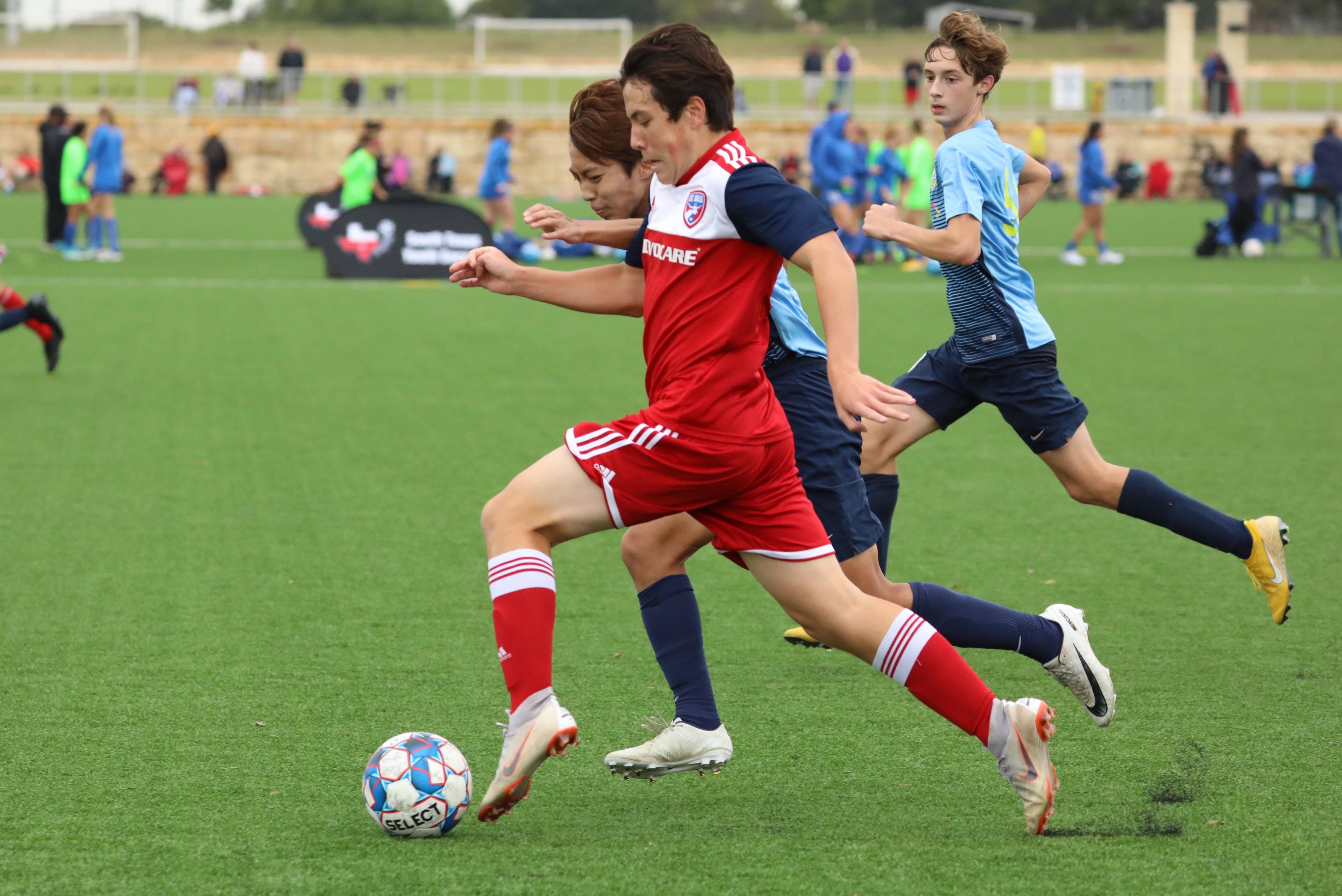 堂仪式中 堂仪式中