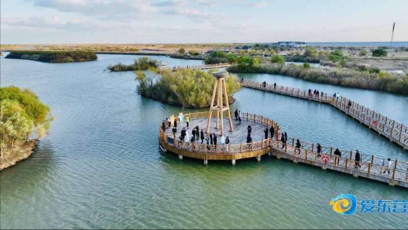 国际大赛经 国际大赛经